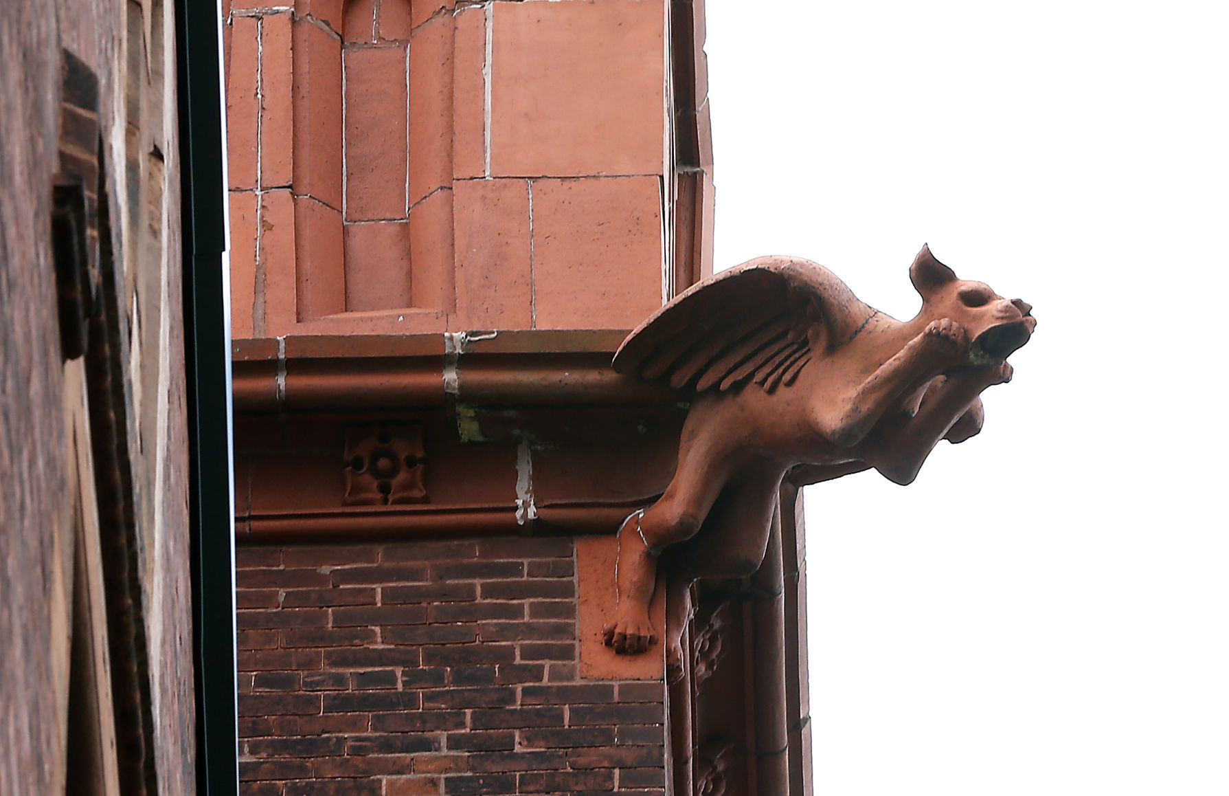 20190812_DISCO_ODD_GARGOYLE_06